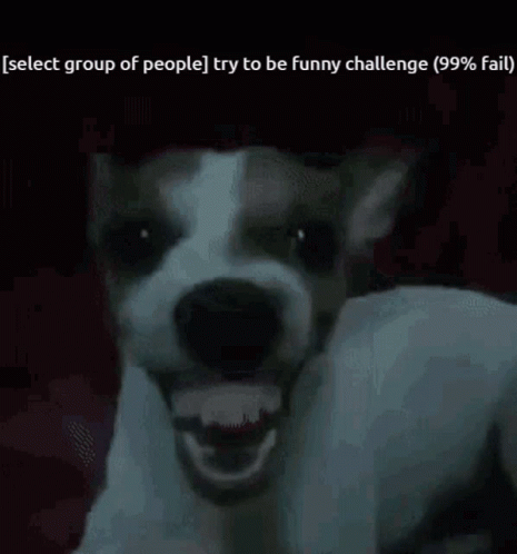 Beagle Dog Laughing GIF