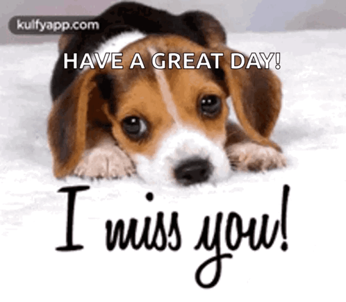 Beagle Puppy Laying on Bed Have a Great Day I Miss You