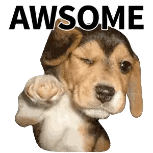 Beagle Puppy Pointing