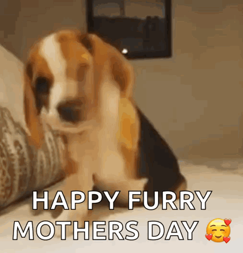 Beagle Puppy Saying Happy Furry Mother's Day