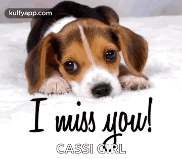 Beagle Puppy Saying I Miss You GIF