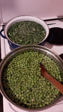 Beans Green Peas Pot Cook GIF