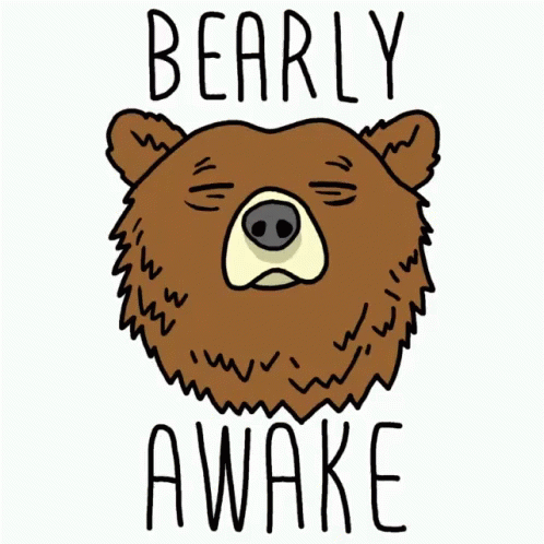 Bear Barely Awake GIF