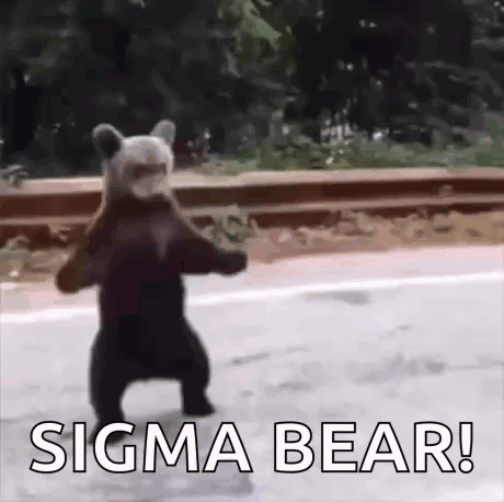 Bear Dancing By Road GIF
