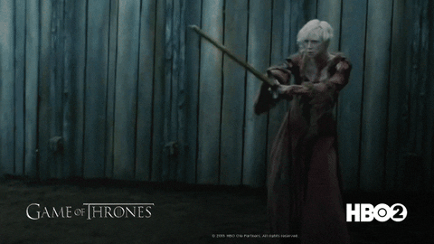 Bear Fights Of Game Of Thrones Brienne GIF