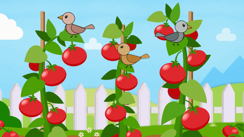 Bear Flower Apple Go Away Birds GIF
