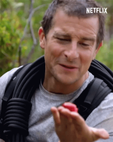 Bear Grylls Yummy Berry GIF