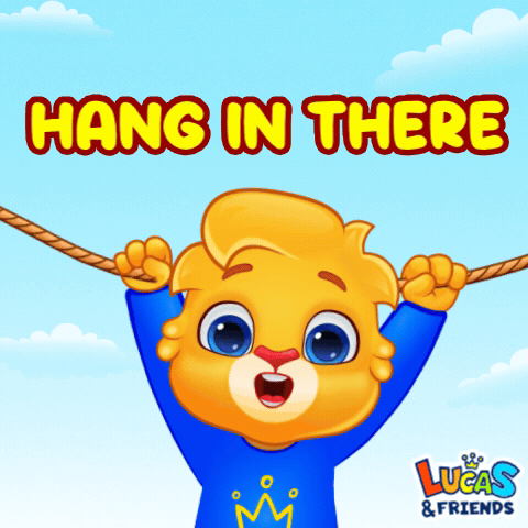 Bear Hanging From Rope Lucas and Friends