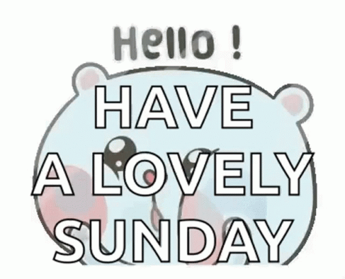 Bear Hello! Have a Lovely Sunday