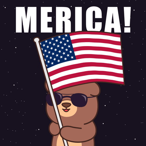 Bear Holding American Flag Merica