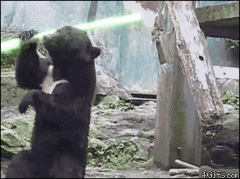 Bear Holding Green Light Saber