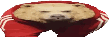 Bear in Red and White Striped Shirt and Shorts