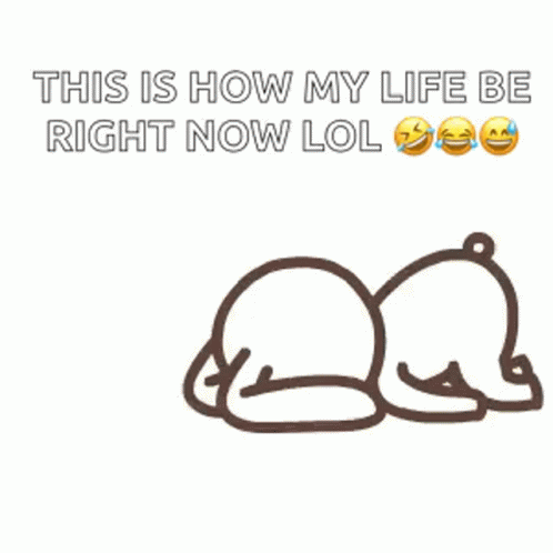 Bear Laying Down This Is How My Life Be Right Now Lol