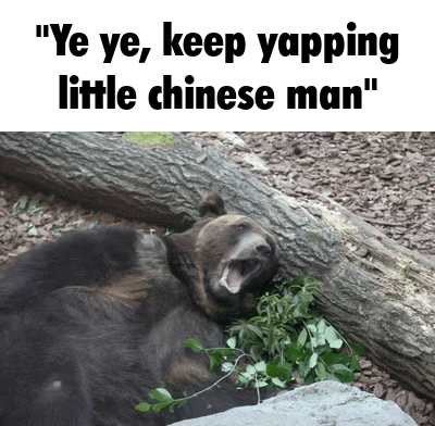 Bear Laying on Log Ye Ye Keep Yapping Little Chinese Man