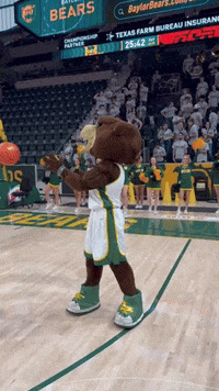 Bear Mascot on Basketball Court With Texas Farm Bureau Sign