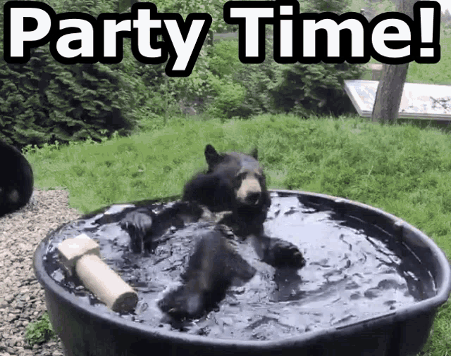 Bear Party Time GIF