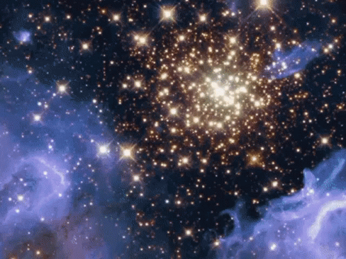 Bear Riding Yellow Unicorn In Outer Space GIF