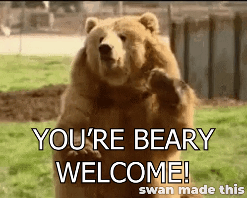 Bear Saying You Re Beary Welcome