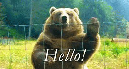 Bear Says Hello Behind Wire Fence GIF