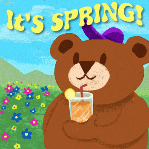 Bear Sipping Juice Happy Spring GIF