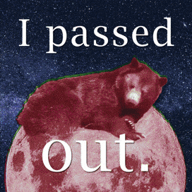 Bear Sitting on Full Moon Saying I Passed Out