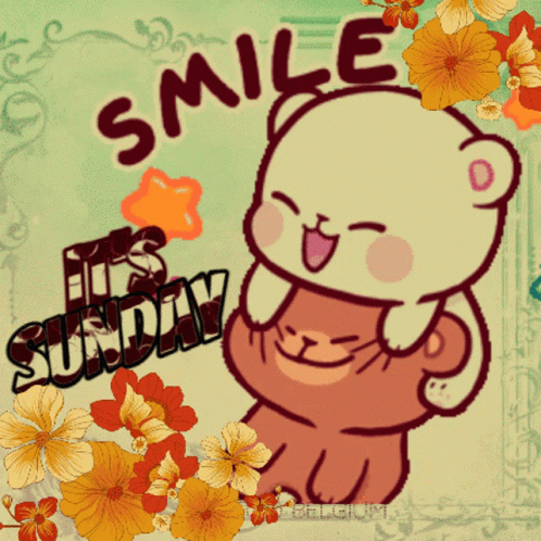 Bear Smile It's Sunday