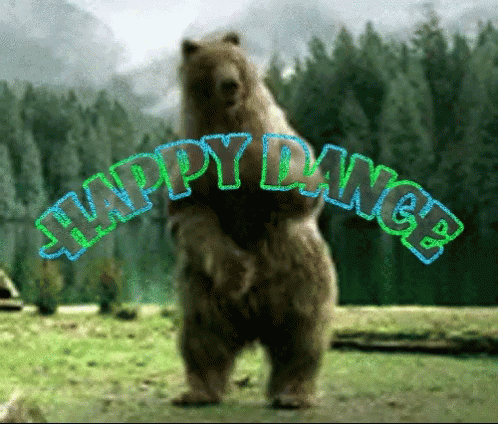 Bear Standing On Hind Legs Happy Dance GIF