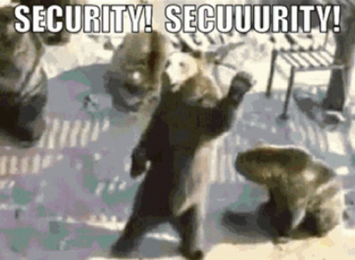 Bear Waving And Calling Security GIF