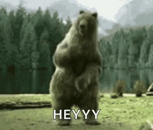 Bear Waving And Dancing GIF