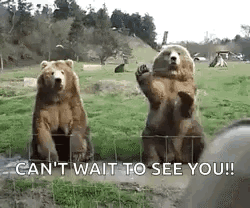 Bear Waving Cant Wait To See You GIF