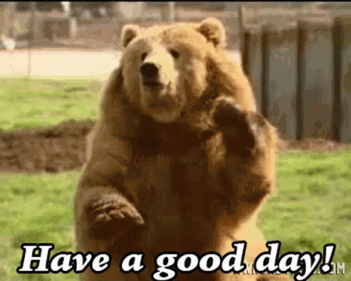 Bear Waving Have A Good Day GIF