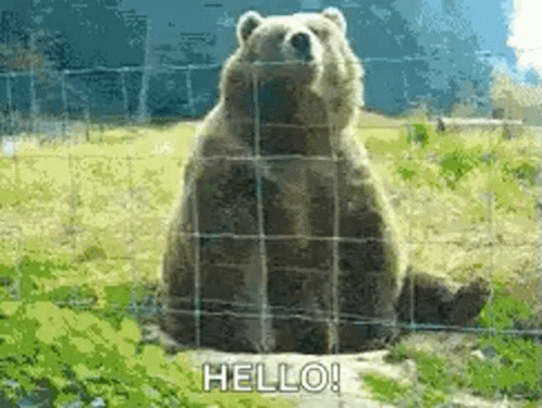 Bear Waving Hello GIF