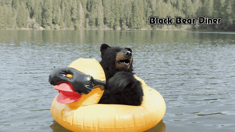 Bear Waving In A Duck Floater GIF