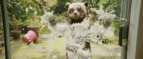 Bear Wax On Wax Off In Window GIF