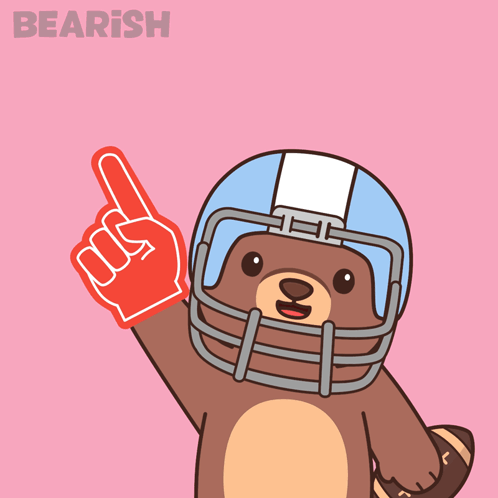 Bear Wearing Football Helmet