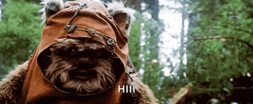 Bear Wearing Hill Hat