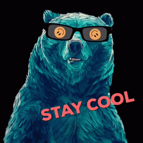 Bear Wearing Sunglasses Says Stay Cool