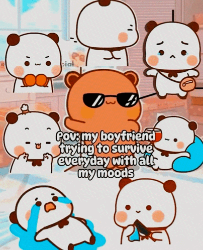 Bear Wearing Sunglasses Surviving Moods GIF