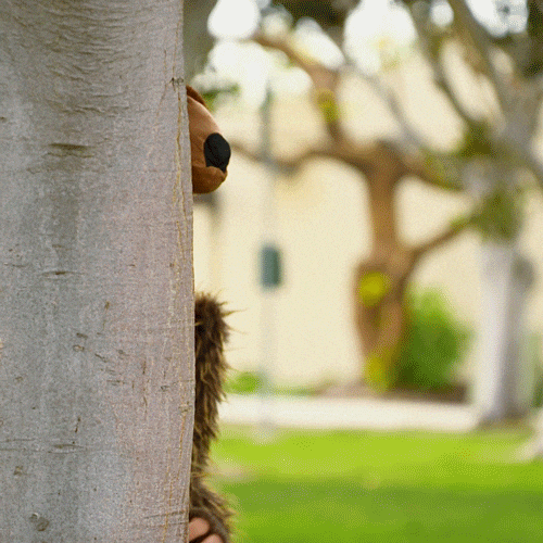 Bearded Guy In Mascot Bear Waving GIF
