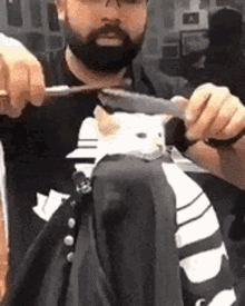 Bearded Man Cutting Cat's Hair With Scissors GIF