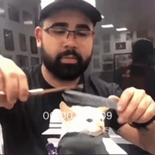 Bearded Man Glasses Holding Knife Brush Cat GIF