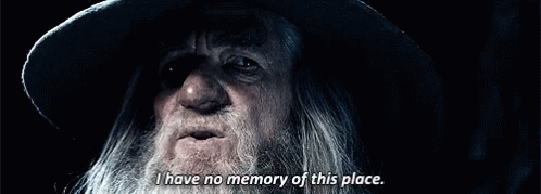 Bearded Man Hat Saying I Have No Memory GIF