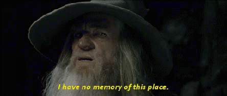 Bearded Man Hat Says No Memory of This Place