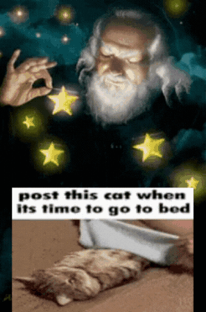 Bearded Man Holding Knife Over Cat GIF