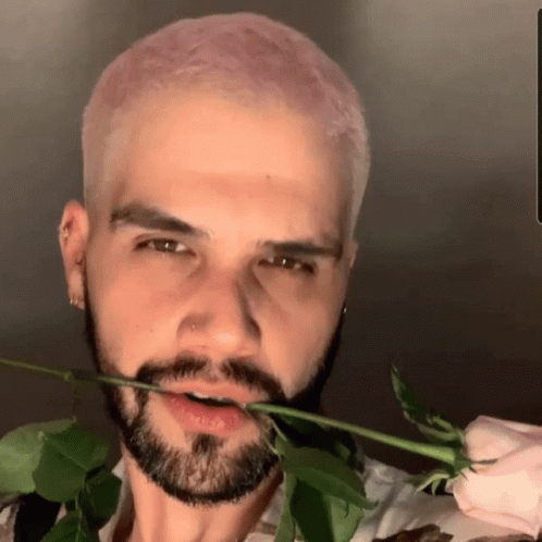 Bearded Man Holding Pink Rose In Mouth GIF