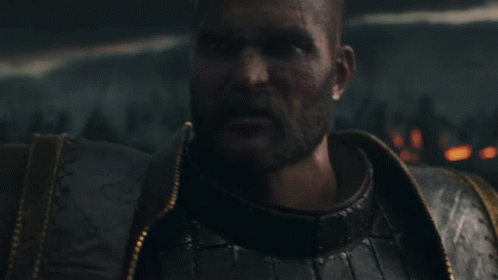 Bearded Man In Armor And Gold Collar GIF