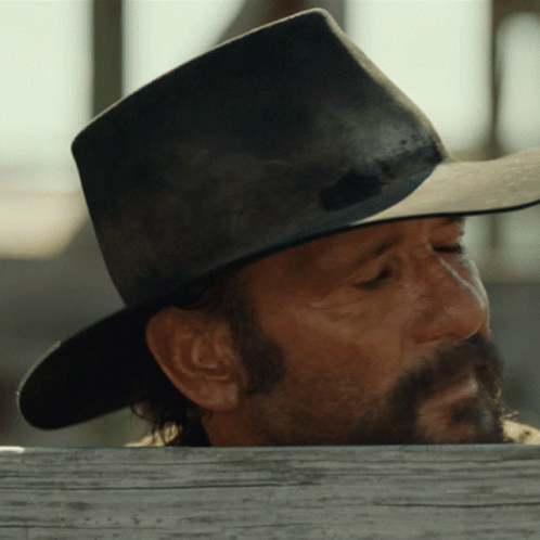 Bearded Man In Cowboy Hat Over Wooden Fence GIF