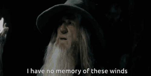 Bearded Man In Hat: No Memory Of These Winds GIF