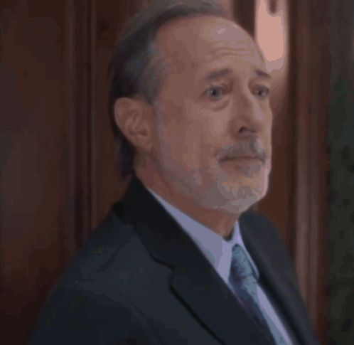Bearded Man In Suit And Tie Looking At Camera GIF