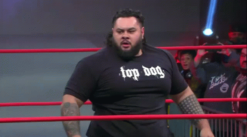 Bearded Man In Top Dog Shirt GIF